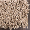 Wool Shag Rug (8' x 10') — Ready to Ship
